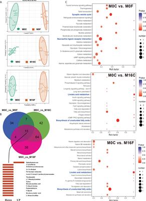 Integrative network analysis revealed the molecular function of folic acid on immunological enhancement in a sheep model